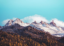 8868在线官网登录入口——开启数字生活的新入口，解锁便捷与安全的全场景体验